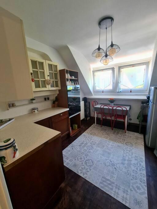 Appartement Centre Ville Terrasse Jardin Garage Chez Priscilla Aurillac Exterior foto